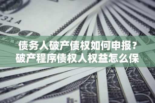 北京债务人破产债权如何申报？破产程序债权人权益怎么保障？