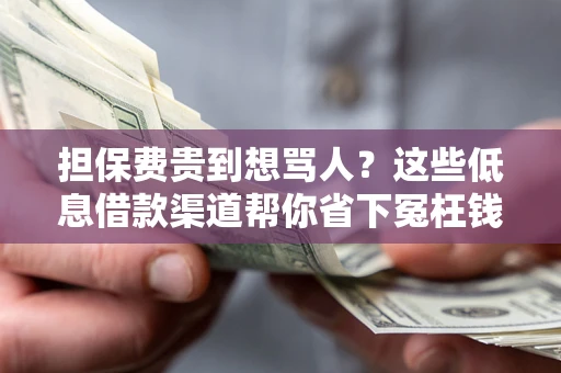 北京担保费贵到想骂人？这些低息借款渠道帮你省下冤枉钱