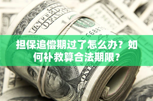 北京担保追偿期过了怎么办？如何补救算合法期限？