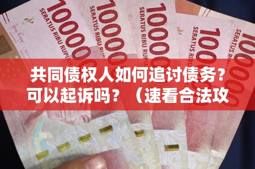 北京共同债权人如何追讨债务？可以起诉吗？（速看合法攻略）