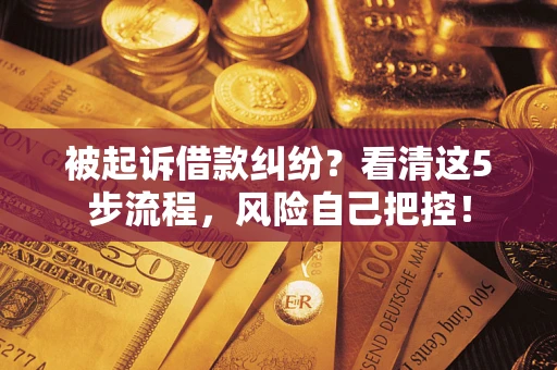 北京被起诉借款纠纷？看清这5步流程，风险自己把控！